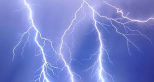 बाजुरामा चट्याङ लागेर ३९ भेडाबाख्रा मरे