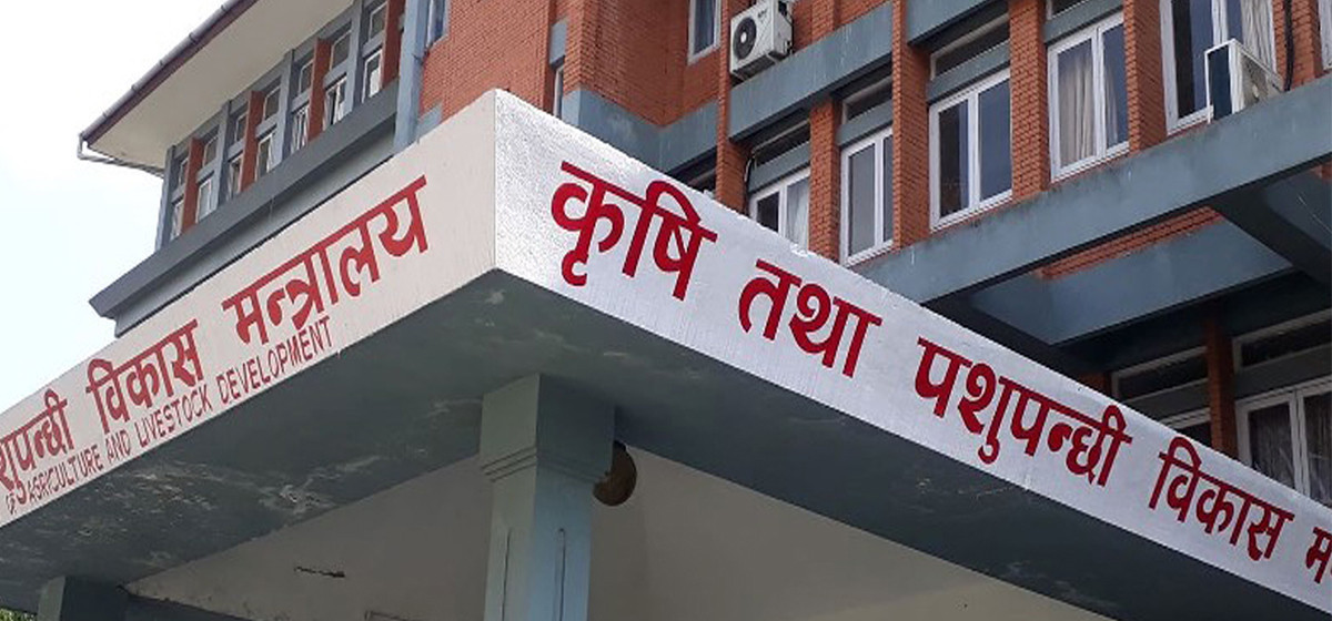 कृषिमन्त्री चौधरीको निर्देशनमा बागमती स्वीट्स प्रालिमा शिलबन्दी