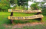चितवन निकुञ्जमा वन्यजन्तुको आक्रमणबाट एक वर्षमा ११ जनाको मृत्यु