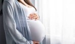 बिरामीले सोधेः डाक्टरसाप, क्यान्सर निको भएपछि गर्भधारण गर्न मिल्छ ?