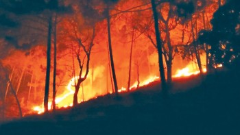 डढेलोको जोखिम बढ्दो, पूर्व तयारी कमजोर