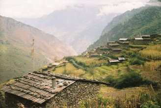 आमाछोदिङमो गाउँपालिकाका किसान सङ्कटमा