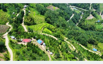 सिरदली–चौडेनी सडक स्तरोन्नति