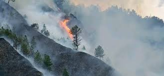 डढेलोले उजाड बनेको गत्लाङको वन ड्रोनबाट ब्युँताइने