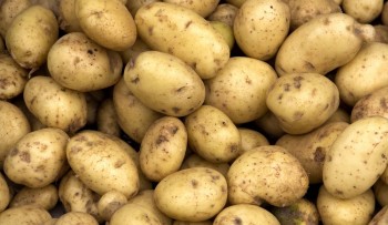 मुस्ताङमा आलुको उत्पादन क्षेत्र विस्तार : ६२ करोडको ८२ लाख बढीको बिक्री