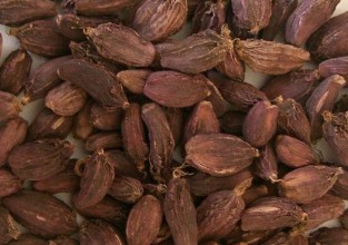 अलैँचीको भाउ सात वर्ष यताकै उच्च