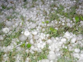 असिनापानीले कृषि क्षेत्रमा तीन अर्बको क्षति