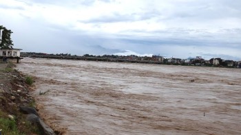 नारायणी नदीको बाढी : एक हजार १५० मिटर तटबन्धमा क्षति