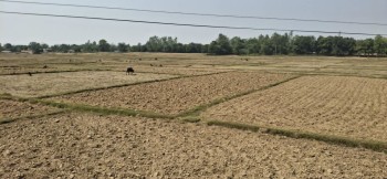 वर्षा नहुँदा रौतहटका खेत बाँझै