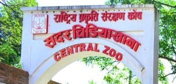 सदर चिडियाखानामा बर्डफ्लु नियन्त्रणमा