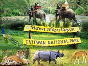 असार १५ गतेदेखि निकुञ्ज सफारी बन्द