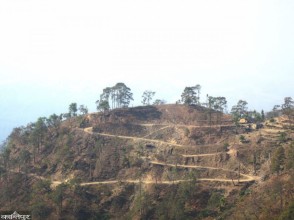 सात वर्षमा पनि बनेन दैजी–जोगबुढा सडक