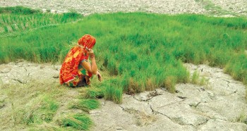 रोपाहार पाउन छाडेपछि प्रविधिको प्रयोगलाई बढाइएको छ