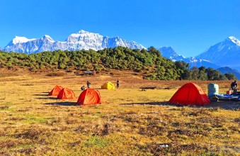ढोरपाटनमा विदेशी सिकारीको आकर्षण