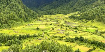 ओझेलमा सुन्दरताले भरिपूर्ण दिज गाउँ