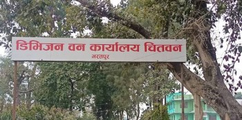 वन कार्यालय चितवनद्वारा जोखिमयुक्त रुखको तथ्याङ्क सङ्कलन