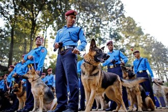 चाडपर्व लक्षित सुरक्षा : सादा पोसाकका प्रहरीदेखि तालिमप्राप्त कुकुरसम्म परिचालन