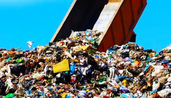 बिक्री हुन थाल्यो तम्घासमा फोहोर