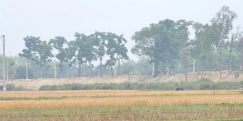 सीमा क्षेत्रको बाँध अग्लो बनाउँदा, गौर डुबानको जोखिममा