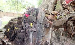 ओझेलमा बुद्धको मावली, मर्चवार नै ऐतिहासिक ‘देवदह’