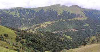 गर्मी छल्न पर्यटक रिग क्षेत्रमा