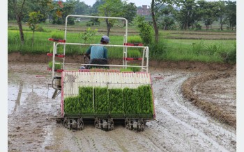 रोपाइँ गर्न आधुनिक प्रविधिको प्रयोग