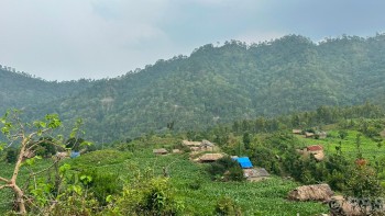 भौतिक विकासको पर्खाइमा पलगडी गाउँ