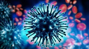 बैतडीको महरागाउँमा ‘इन्फ्लुएञ्जा बी’को सङ्क्रमण