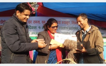 पोखरामा बृहत् कन्दमूल प्रदर्शनी