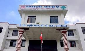 कांग्रेस केन्द्रीय कार्यसमिति बैठक बस्दै, १५औँ महाधिवेशनका विषयमा छलफल हुने