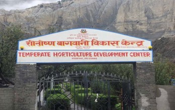 मुस्ताङमा फूलफूलखेती सिक्दै १४ जिल्लाका किसान