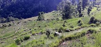 सिँचाइमा क्षति पुग्दा खेतबारी बाँझै