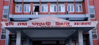 ‘अफ्रिकन स्वाइनफिभर’ को जोखिम बढ्दो, सतर्कता अपनाउन आग्रह