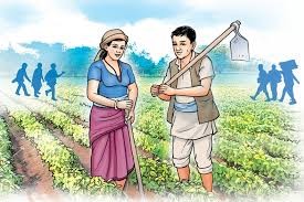 जलवायुमैत्री कृषिमार्फत चुनौतीको सामना गर्दै किसान