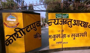 ११ हजार पर्यटक पुगे कोशी टप्पु
