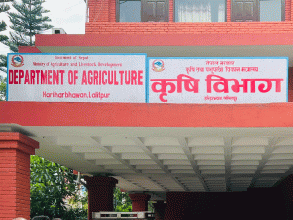 बीउ उत्पादन कार्यक्रम ५८ स्थानीय तहमा सञ्चालन