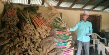 अम्रिसो खेतीबाट आम्दानी गर्दै कञ्चनपुरको चुरेफेदको सामुदायिक वन