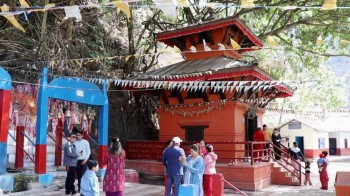 ओझेलमा गुल्मीको कुर्घा मालीका