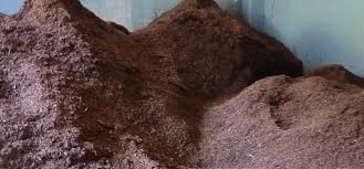 पातपतिङ्गरबाट जैविक मल उत्पादन गर्दै स्थानीय