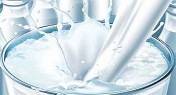 दुधमा आत्मनिर्भर काभ्रे : ७० प्रतिशत आपूर्ति अन्यत्र जिल्लामा