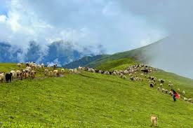 पदयात्राका लागि उत्कृष्ट गन्तव्य बन्दै ‘बुकीपाटन’
