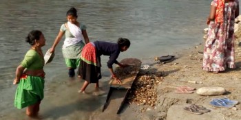 नदी उत्खननले सोनाहा जातिको सुन खोज्ने पेसा सङ्कटमा