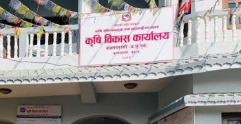 नवलपुरमा कृषकका लागि अनुदान, असोज १३ गतेभित्र आवेदन दिन आह्वान