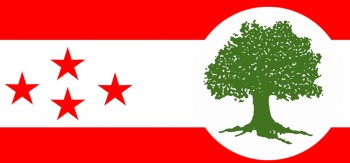 पुस २८ भित्र विशेष महाधिवेशन हुन कसैले रोक्न मिल्दैन: कांग्रेस महाधिवेशन पक्षधर