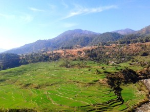 नयाँ सहर आयोजना सघन सहरी आयोजनामा एकीकृत