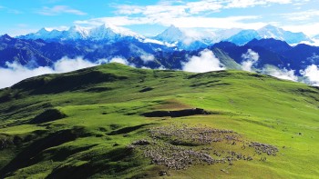 पर्यटकलाई आकर्षित गर्ने बुकीपाटनका भेडीगोठ