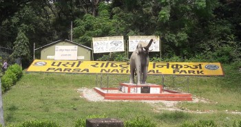 पर्सा राष्ट्रिय निकुञ्जमा ‘वाइडलाइफ रेस्क्यु टिम’ तयार