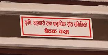 विद्युत् आयोजनामा सहजकर्ताको भूमिका निर्वाह गर्न वन मन्त्रालयलाई निर्देशन