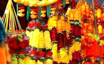 उपमहानगरपालिकाद्वारा प्लाष्टिकको फूल बिक्रीवितरण तथा प्रयोगमा रोक