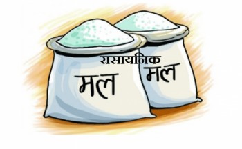 चार लाख ७१ हजार मेट्रिक टन रासायनिक मल आयात गर्न बोलपत्र